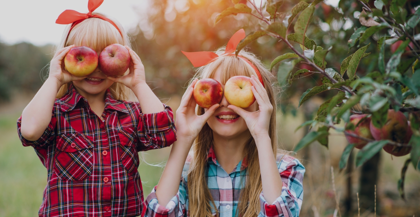 Dentist New City, NY Cosmetic & General Dentistry of New City